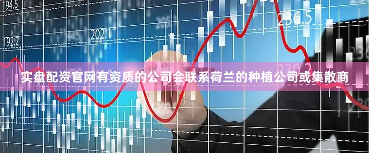 实盘配资官网有资质的公司会联系荷兰的种植公司或集散商