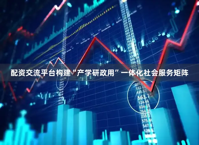 配资交流平台构建“产学研政用”一体化社会服务矩阵
